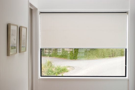 081