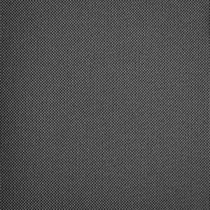 Iron